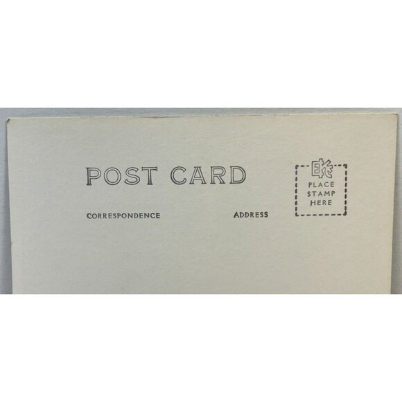 Rialto Beach Mora WA RPPC Postcard Vintage Woman with Baby Seal Snapshot - Picture 6 of 6